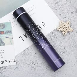 Creative Starry Sky Vacuum Cup Stainless Steel Home (Option: Starry Sky Purple-255ml)