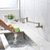 Wall Mount Kitchen Stove Faucet